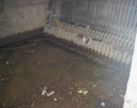 岩沼市遊水池_スクリーン前