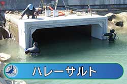 ハレーサルト