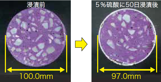 ハレーサルトの中性化経過顕微鏡画像